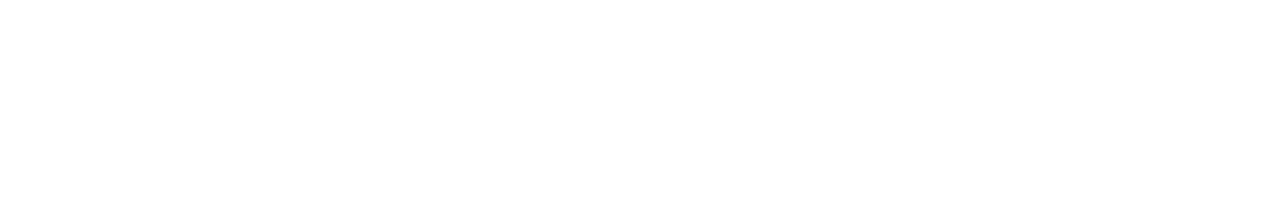 logo_burkwil-white.png